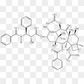 "  Src="bond Line Structure01 - Paclitaxel Structure, HD Png Download - zig zag line png